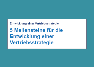 5 Meilensteine Fur Die Entwicklung Einer Vertriebsstrategie Mercuri Germany